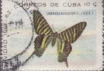 Sellos de America - Cuba -  Navidad 1961-1962 Correos de Cuba