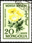 Stamps Mongolia -  Flores de Mongolia. Trollius asiaticus.