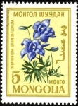 Sellos de Asia - Mongolia -  Flores de Mongolia. Delphinium grandiflorum.