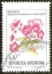 Stamps Argentina -  FLORES - BEGONIA