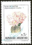 Stamps Argentina -  FLORES - FLOR DE CACTUS
