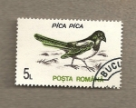 Stamps : Europe : Romania :  Pájaro Pica-Pica