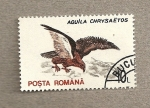 Stamps Romania -  Ave Aquila chrysaetos