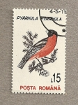 Stamps Romania -  Pájaro Pyrrhula pyrrhula