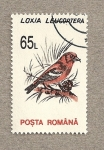 Stamps Romania -  Loxia leucoptera