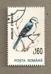 Stamps Romania -  Parus cyanus