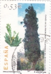 Stamps Spain -  Arboles monumentales-Ciprés de la anunciada-Villafranca del Bierzo(León)    (B)