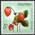 Stamps Albania -  Frutos