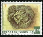 Sellos de Europa - Bosnia Herzegovina -  Horticultura