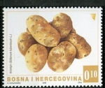 Stamps Bosnia Herzegovina -  Horticultura