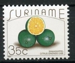 Sellos de America - Surinam -  Frutos