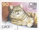 Stamps Cuba -  gatos