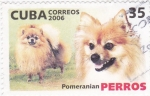 Sellos de America - Cuba -  Pomeraniam