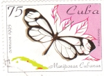 Sellos de America - Cuba -  mariposas cubanas