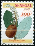 Stamps Senegal -  Frutos