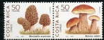 Stamps : America : Costa_Rica :  Hongos
