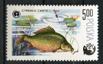 Stamps : Europe : Poland :  Pescado
