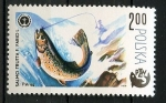 Stamps Poland -  Pescado