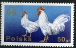 Stamps : Europe : Poland :  Animales de corral