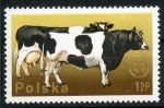 Stamps : Europe : Poland :  Animales de corral