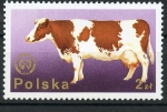 Stamps Poland -  Animales de corral
