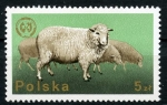 Stamps : Europe : Poland :  Animales de corral