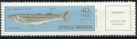 Stamps Argentina -  Pescado