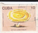 Stamps Cuba -  setas comestibles- Lentinus cubensis