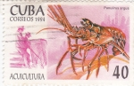 Stamps Cuba -  Acuicultura- Panulirus argus