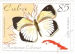 Sellos de America - Cuba -  mariposas cubanas