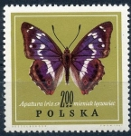 Stamps Poland -  