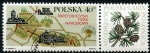 Stamps : Europe : Poland :  