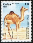 Stamps : America : Cuba :  Camelus domedarius