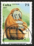 Stamps : America : Cuba :  Mamíferos.