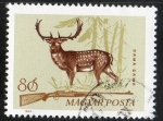 Stamps : Europe : Hungary :  Mamíferos.