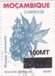 Sellos de Africa - Mozambique -  Ricinus comunis
