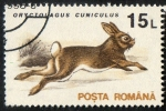 Stamps : Europe : Romania :  Michel 4901. Mamíferos.