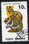 Stamps : Europe : Romania :  Michel 4905.  Mamíferos.