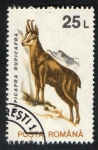 Stamps : Europe : Romania :  Michel 4907.  Mamíferos.