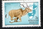 Stamps : Europe : Hungary :  Mamíferos.