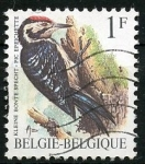 Stamps Belgium -  