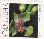 Stamps Venezuela -  Darwiniera Bergoldii