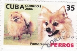 Sellos de America - Cuba -  Pomeranian