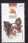 Stamps Mexico -  Exposición mundial canina-Chihuahueño