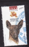 Stamps Mexico -  Exposición mundial canina-