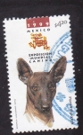 Sellos de America - Mxico -  Exposición mundial canina-