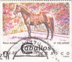 Sellos de America - Mxico -  Raza Azteca