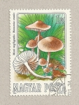 Stamps Hungary -  Setas comestibles:Marasmius oreades