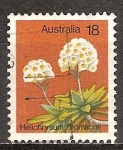 Stamps : Oceania : Australia :  Flores silvestres. "Helichrysum thomsonii"