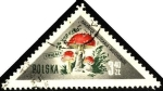 Stamps Poland -  Hongos de Polonia, Amanita muscaria-muchomor.
